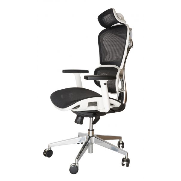 Replica Ergohuman Ergonomic Japanese Mesh Office Chair