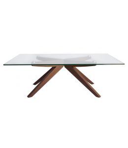 Amber Collection | Glass Coffee Table | Walnut