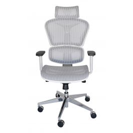 Japanese ergonomic new arrivals office chair
