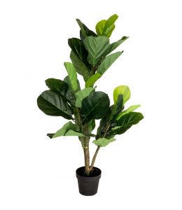 Holly Collection | Potted FiddleLeaf Fig Tree | 120cm