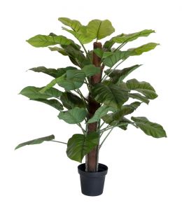 Holly Collection | Potted Pothos Plant | 130cm